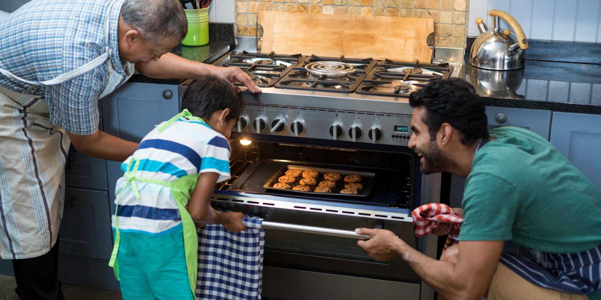 What Are The Reasons You Should Be Focusing On Making Improvements To Intergrated Electric Oven