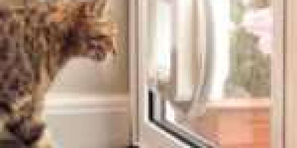 15 Best Cat Flap Installer Bloggers You Need To Follow
